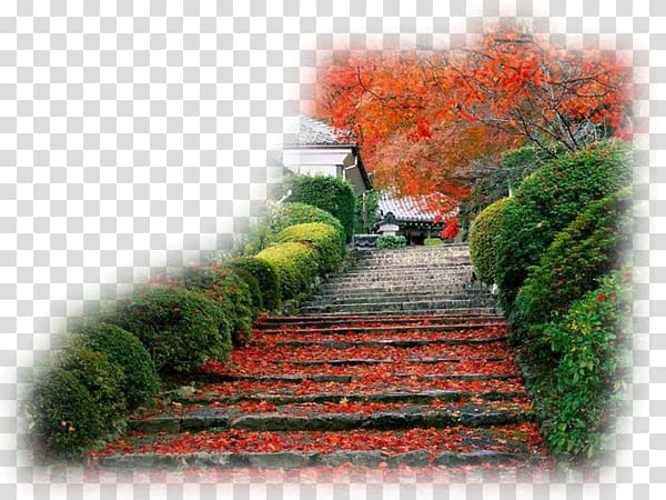 Kyoto Desktop Japanese garden, others transparent background PNG clipart