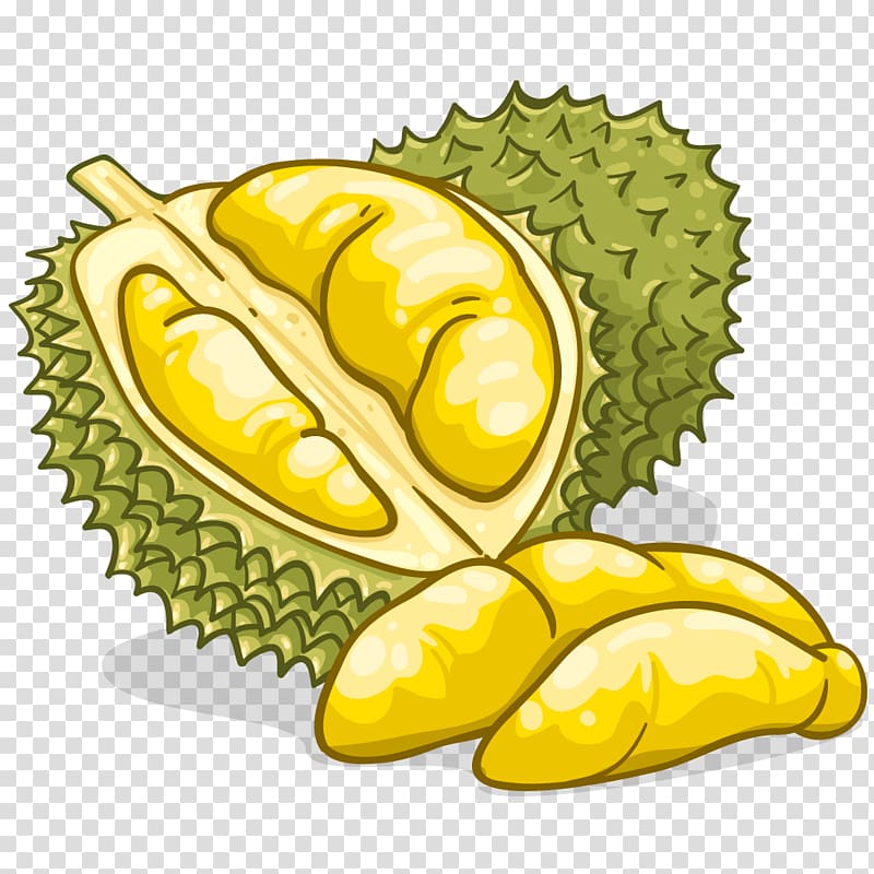 durian fruit , Durian Food Flavor Fruit , Durian transparent background PNG clipart