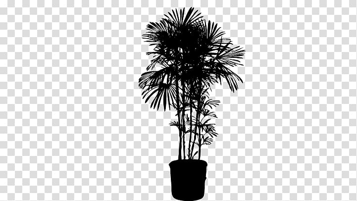 Houseplant Silhouette , Plant Silhouette transparent background PNG clipart