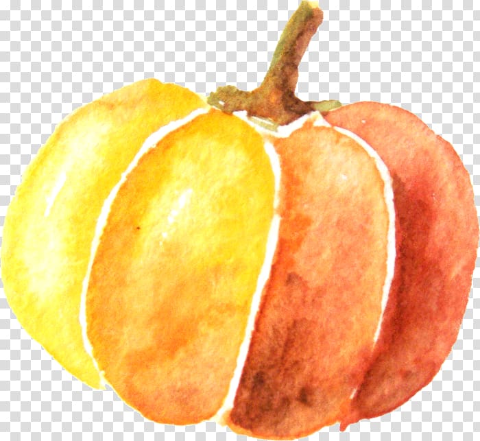 pumpkin illustration, Pumpkin Watercolor painting, Watercolor pumpkin transparent background PNG clipart