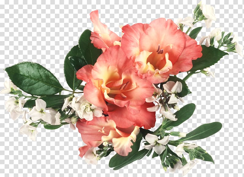 Flower bouquet Desktop Gladiolus Cut flowers, peony transparent background PNG clipart