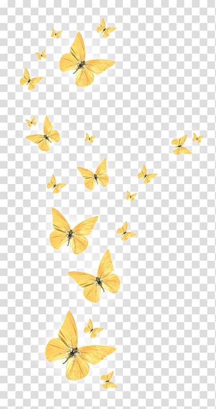 yellow butterflies on mid air illustration, Butterfly, Butterflies float transparent background PNG clipart