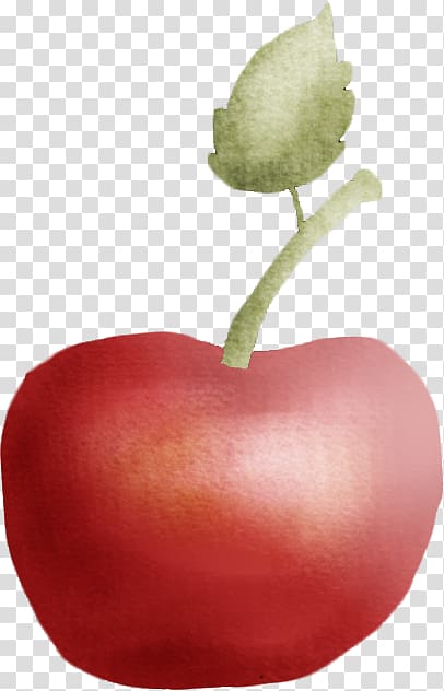 Apple Auglis, Painted apple transparent background PNG clipart