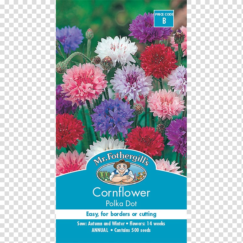 Cornflower blue Seed White, flower transparent background PNG clipart
