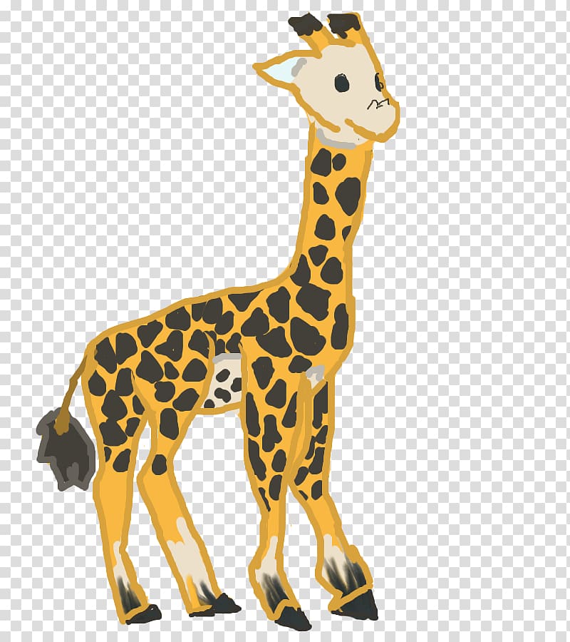 Giraffe Neck Terrestrial animal Wildlife, giraffe transparent background PNG clipart