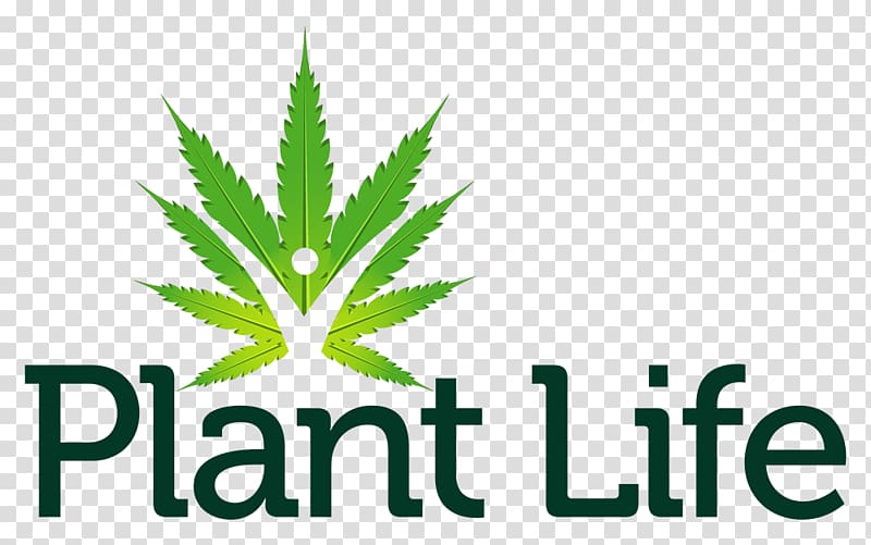 Cannabis Life Reimagined: Discovering Your New Life Possibilities Logo Hemp Font, cannabis transparent background PNG clipart