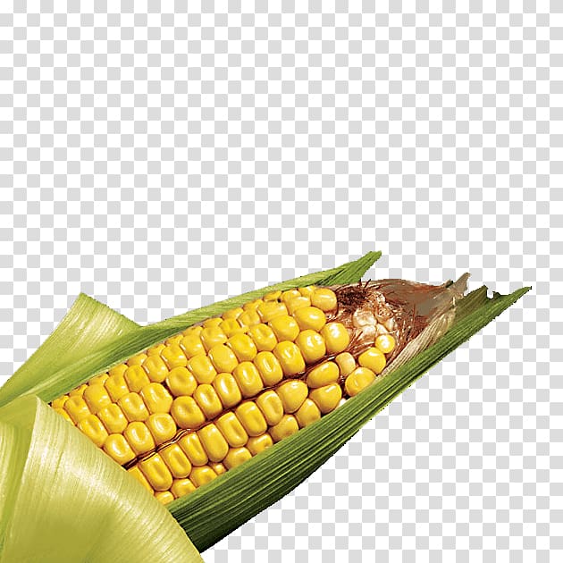 Corn on the cob SmartStax Maize Field corn Corn kernel, others transparent background PNG clipart