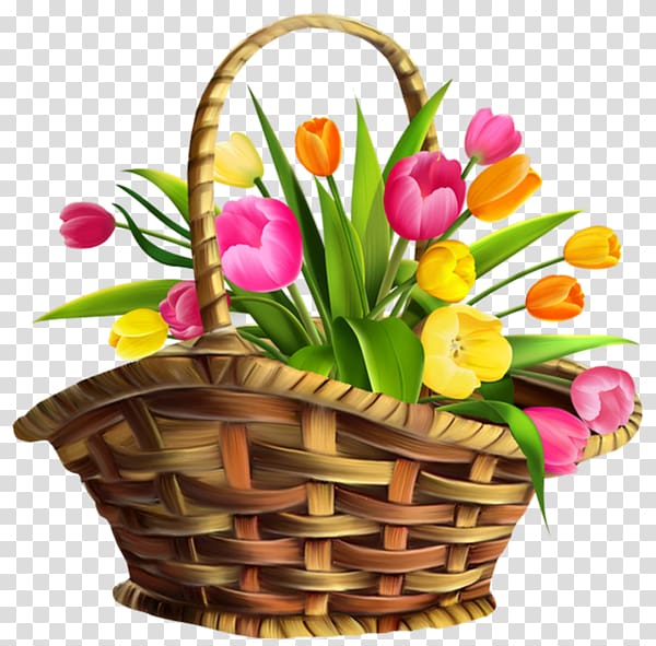 Tulip Flower , A basket of tulips transparent background PNG clipart