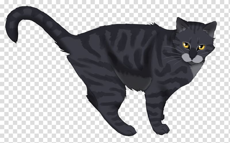 Black cat Chartreux Korat American Wirehair Warriors, others transparent background PNG clipart
