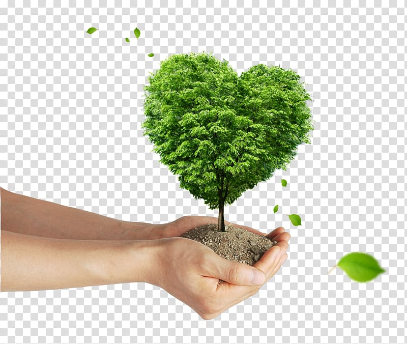 person holding mud with green leaf plant, Tree Poster , Beautiful green hands Giving Tree transparent background PNG clipart