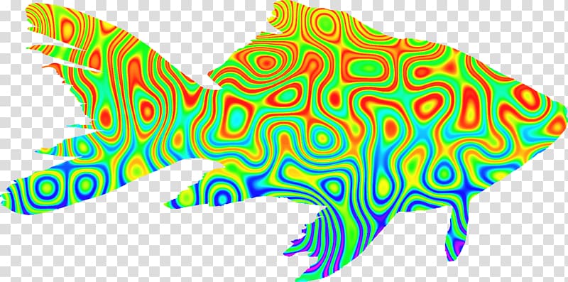 Goldfish Psychedelia , goldfish transparent background PNG clipart