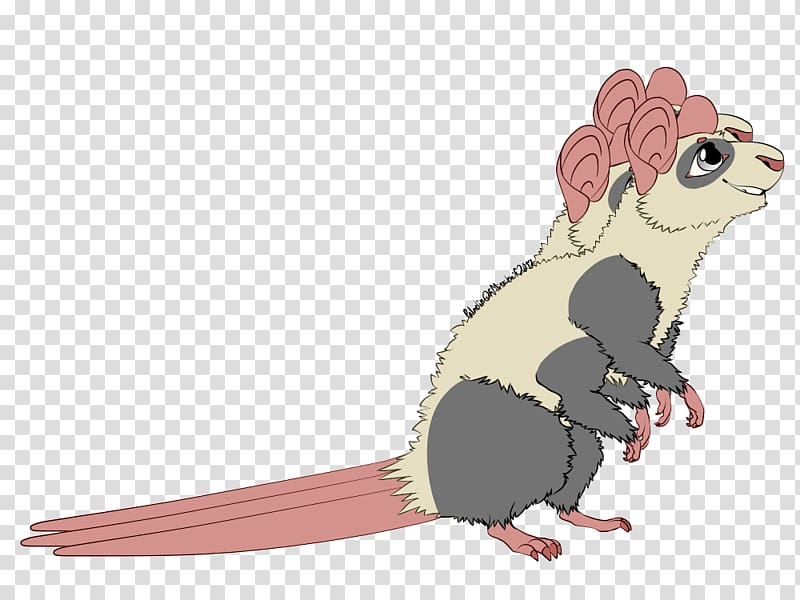 Mouse Rat Rodent Muroidea Animal, Rat & Mouse transparent background PNG clipart