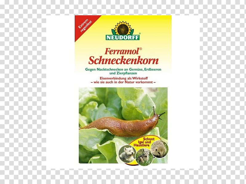Schneckenkorn .kg Slug Gastropods .im, gypsi transparent background PNG clipart