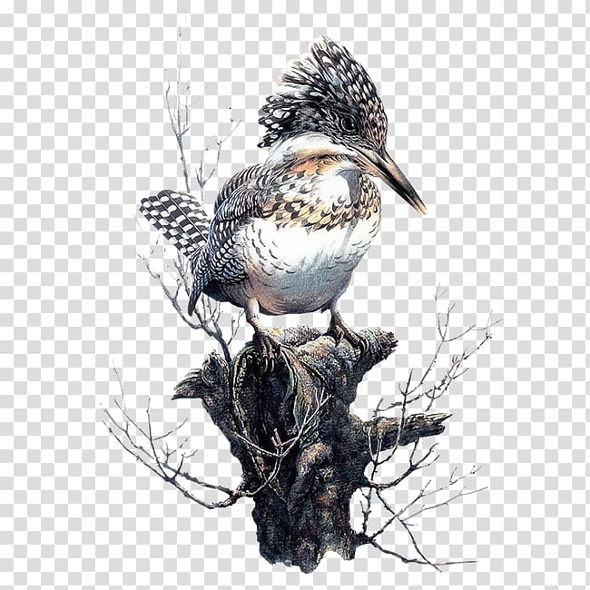 Bird Painting Painter Art Illustration, Birds dead wood on the pier transparent background PNG clipart