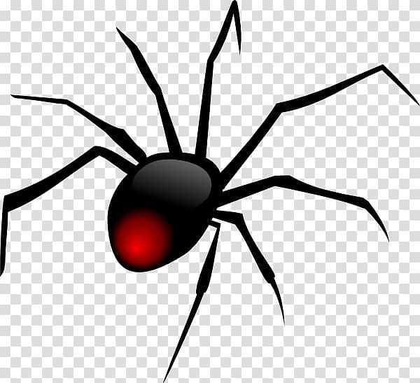 Spider Cartoon , Spiders transparent background PNG clipart | HiClipart