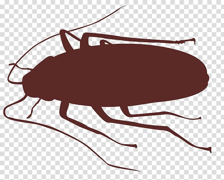 Cockroach Insect Silhouette, roach transparent background PNG clipart