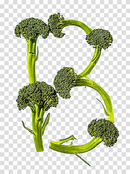 Broccoli Food Vegetable Alphabet Cauliflower, Cauliflower alphabet B transparent background PNG clipart