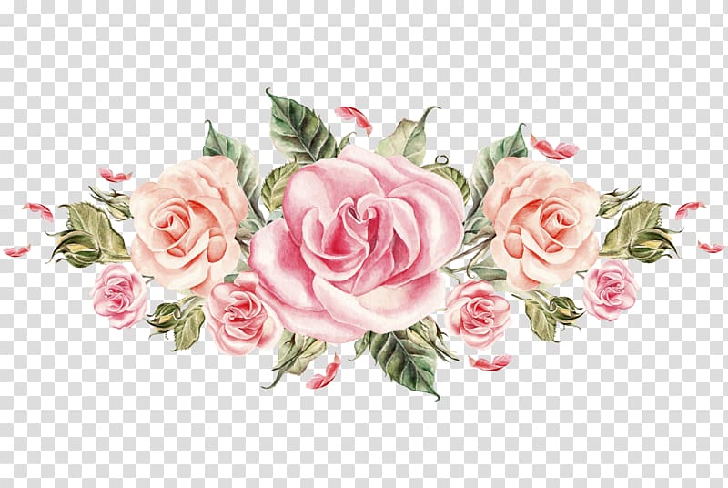 hand-painted pink roses cluster transparent background PNG clipart