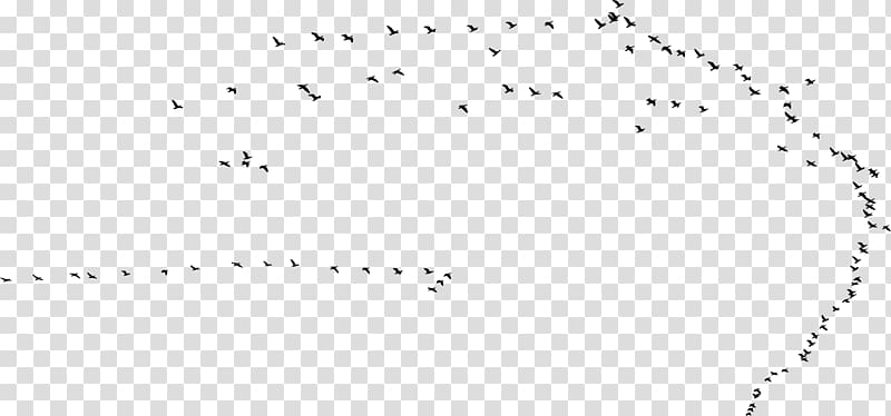 Hummingbird Swallow Flight Flock, flock transparent background PNG clipart