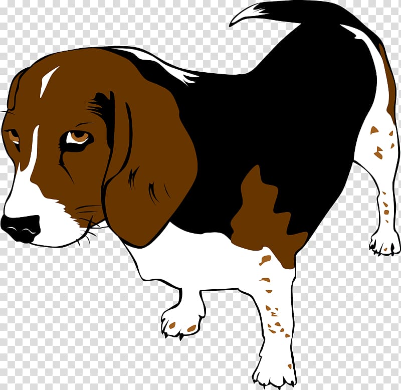 Beagle Puppy Mans best friend , Animal transparent background PNG clipart