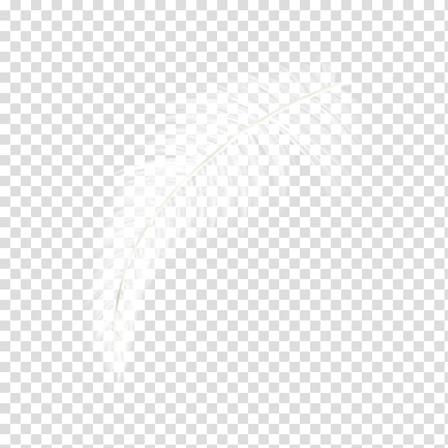 Computer graphics, White Feather transparent background PNG clipart
