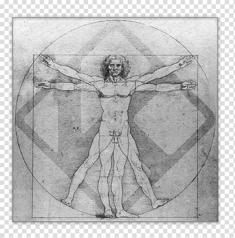 Vitruvian Man Italian Renaissance Polymath Leonardo Da Vinci: Sketches & Drawings, painting transparent background PNG clipart