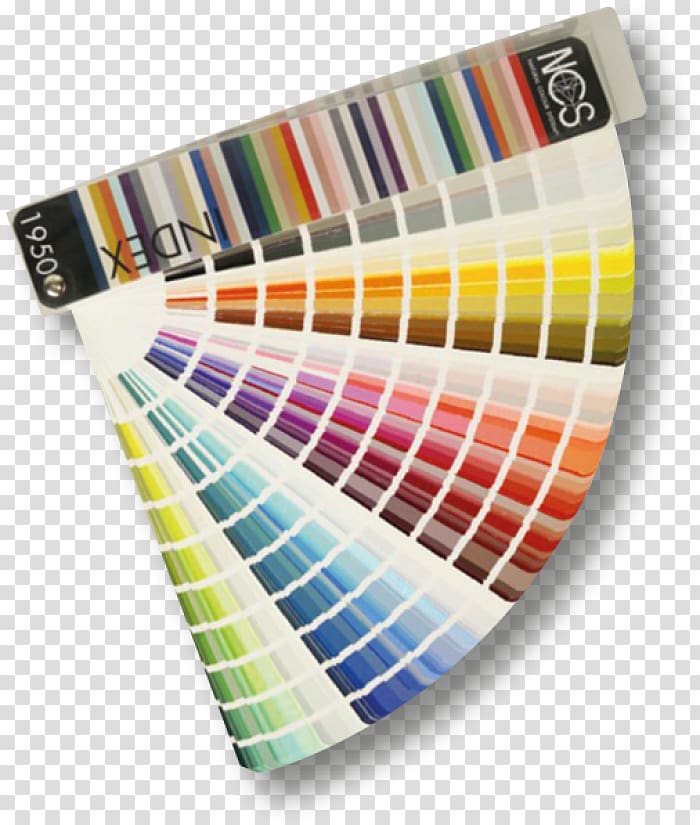Natural Color System Tints and shades RAL colour standard Paint, paint transparent background PNG clipart