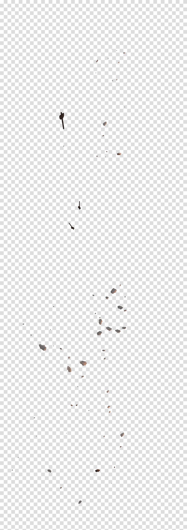 Bird Area Animal Angle Font, debris transparent background PNG clipart