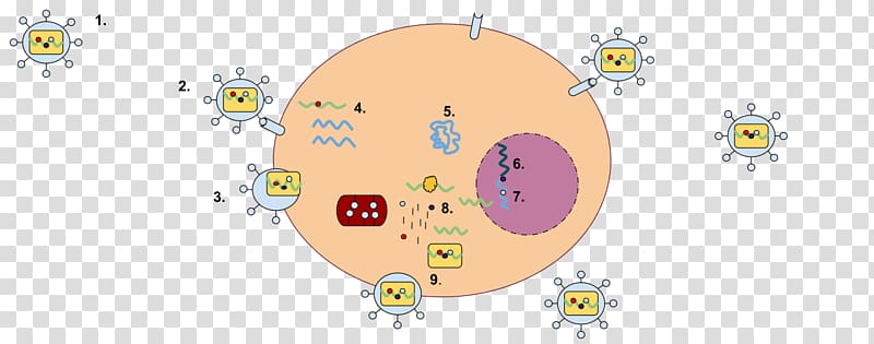 Lentivirus RNA virus Reverse transcriptase Virus ARN monocatenario retrotranscrito Simian foamy virus, cartoon of ferocious virus cells transparent background PNG clipart