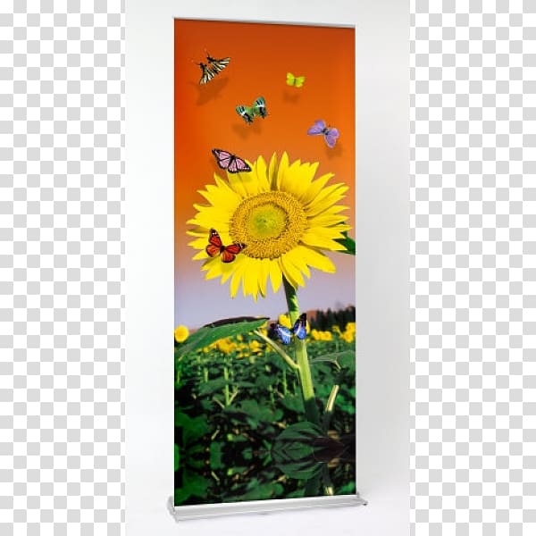Printing Web banner Advertising, Company Roll-up Banner transparent background PNG clipart