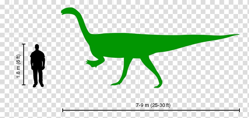 Plateosaurus Velociraptor Tyrannosaurus Ceratosaurus Dinosaur, dinosaur transparent background PNG clipart