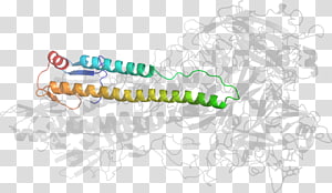 Insect Line Point, insect transparent background PNG clipart thumbnail