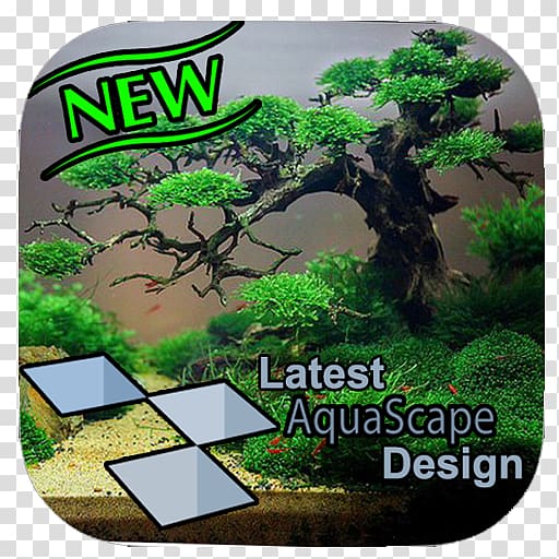 Aquascaping Reef aquarium Nano aquarium Fish Live, fish transparent background PNG clipart