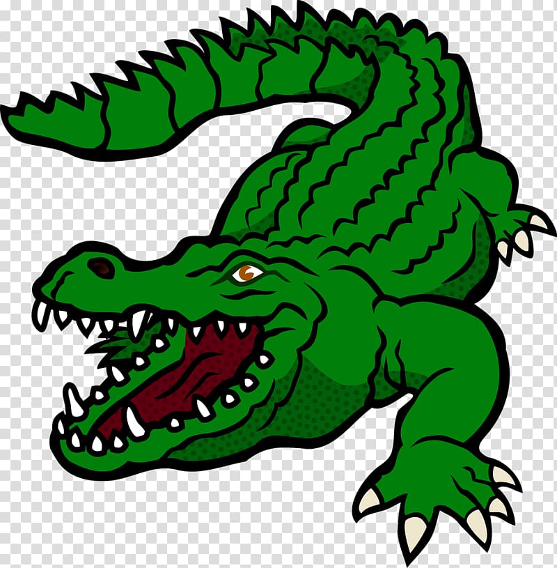 Crocodile clip Alligator , crocodile transparent background PNG clipart