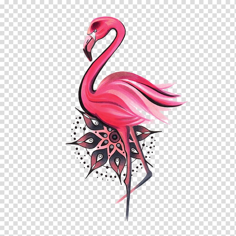Mandala Water bird Greater flamingo Symbol, Bird transparent background PNG clipart