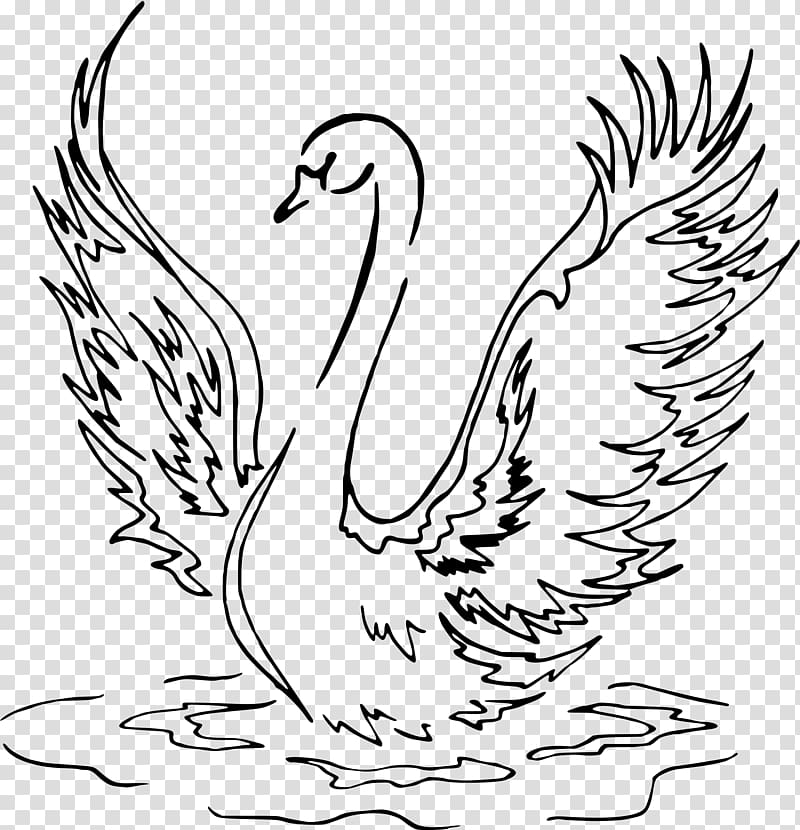 Drawing Line art Bird Black swan, festival decoration transparent background PNG clipart
