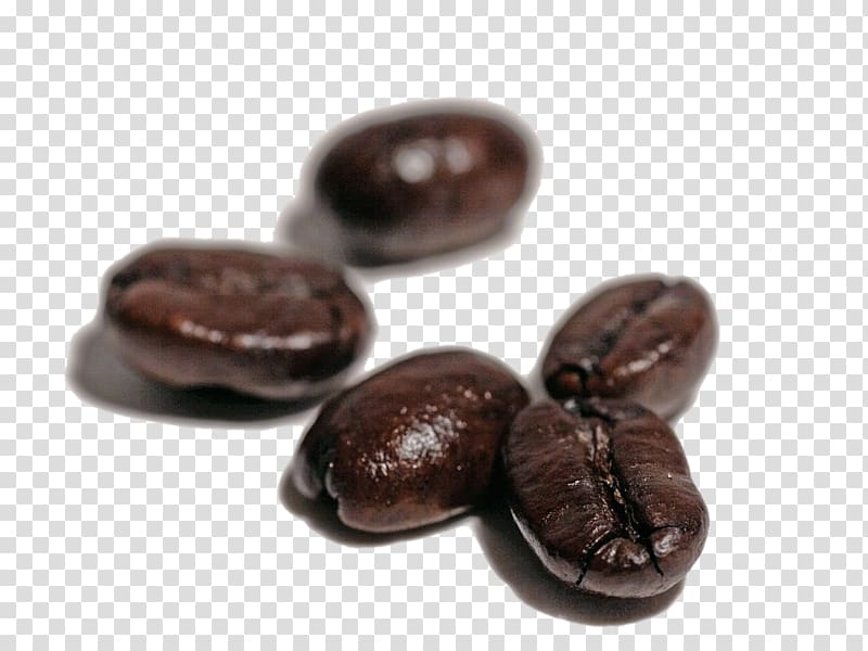 Coffee bean Espresso Tea Coffee bean, HD coffee beans transparent background PNG clipart