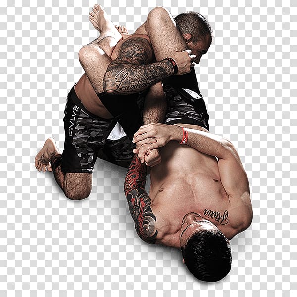 Mixed martial arts Combat sport Grappling Submission wrestling, mixed martial artist transparent background PNG clipart