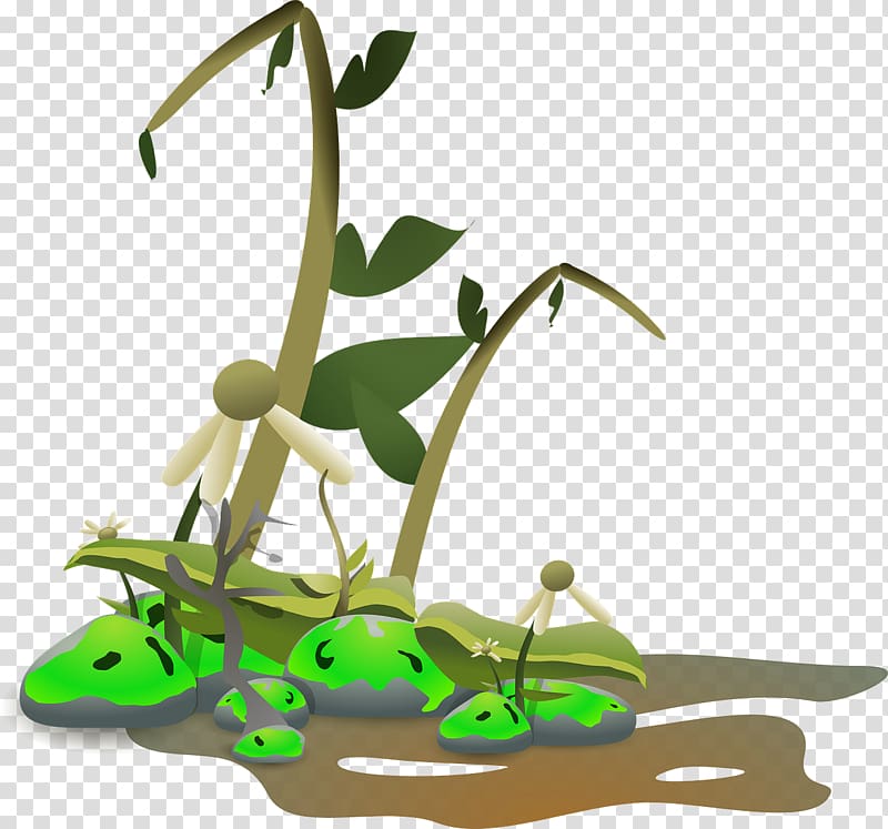 Death Wilting , plants transparent background PNG clipart