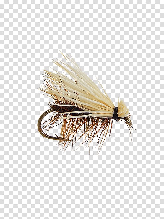 Artificial fly Elk Hair Caddis Fly fishing, fly transparent background PNG clipart