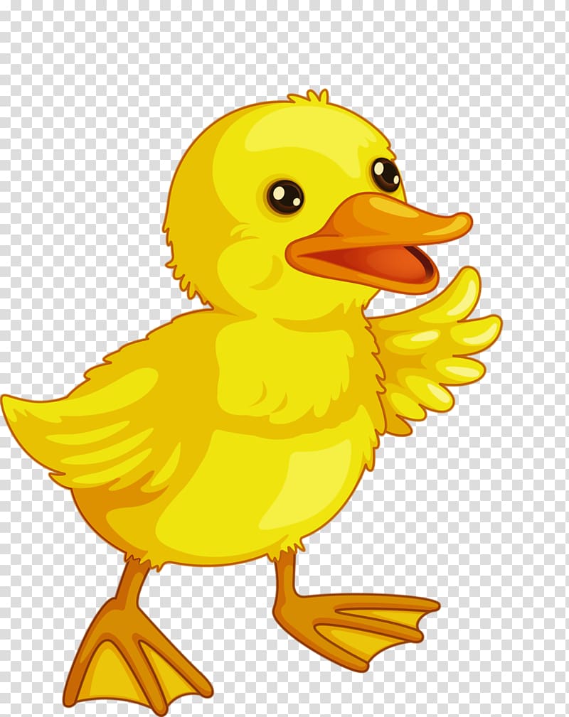 Baby Ducks Baby Duckling Drawing , Bath transparent background PNG clipart