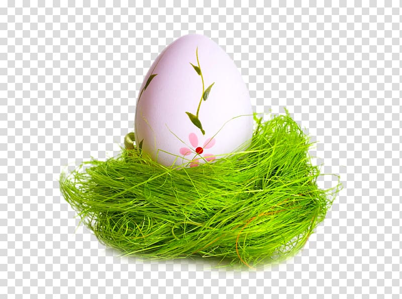 Easter Bunny Holiday Easter egg, Eggs on a green silk transparent background PNG clipart