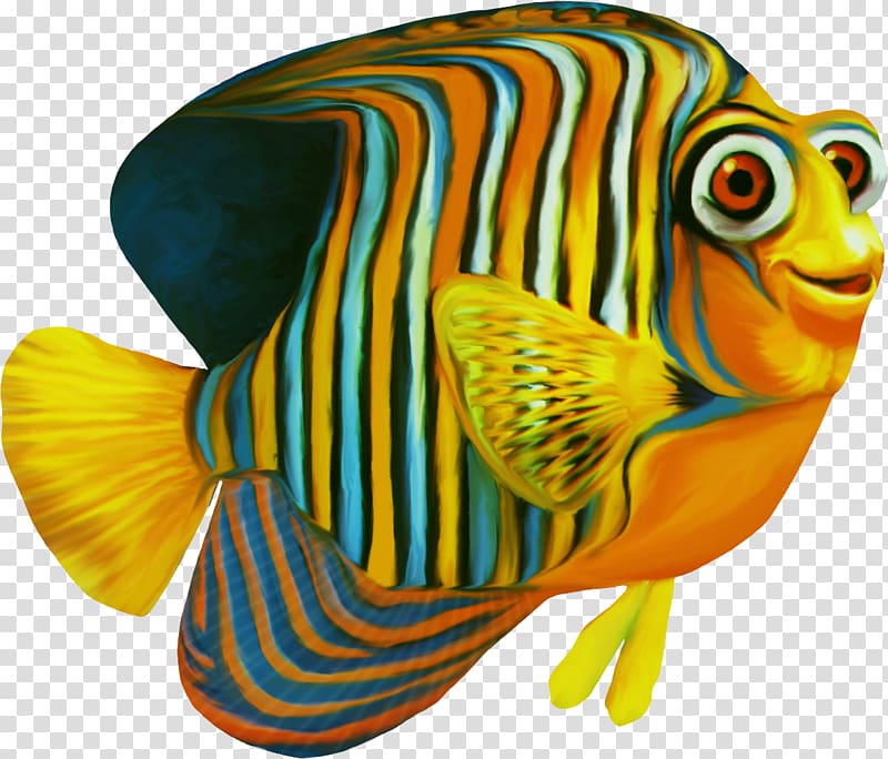Clownfish Nemo, fish transparent background PNG clipart