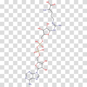 Line Point Angle Diagram, line transparent background PNG clipart thumbnail