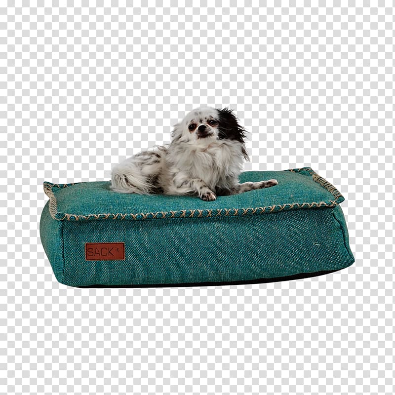 Dog breed Pet Furniture Bean bag chair, Dog transparent background PNG clipart
