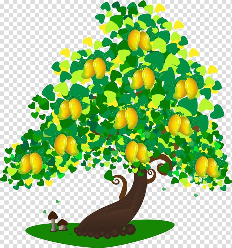 Mango Mangifera indica Drawing Cartoon , Mango mango transparent background PNG clipart