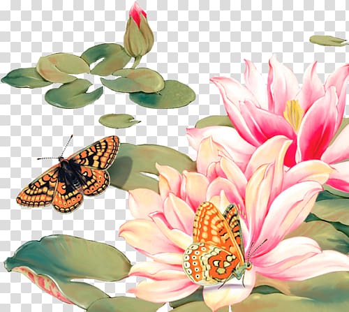 Butterfly Water lily Lotus , butterfly transparent background PNG clipart