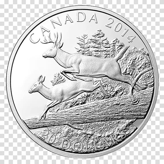 Coin Silver White-tailed deer Perth Mint, Coin transparent background PNG clipart