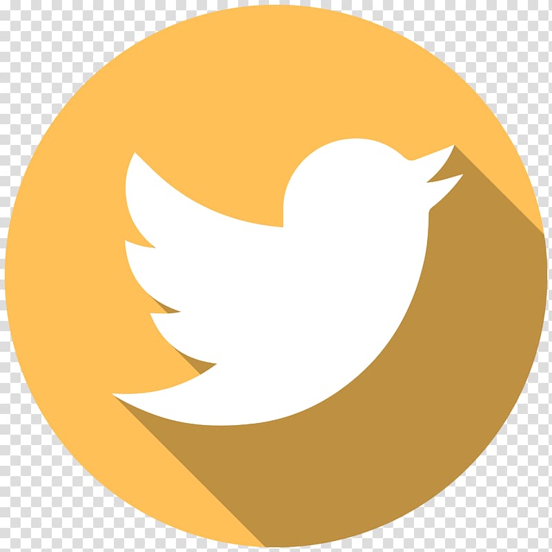 Social media Computer Icons, twitter transparent background PNG clipart