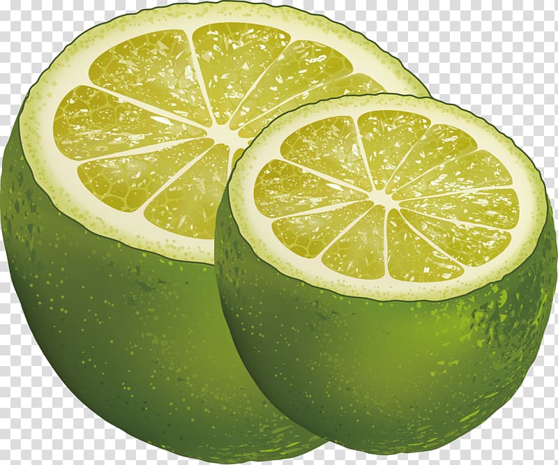 Persian lime Lemon Key lime, Grapefruit decorative design transparent background PNG clipart